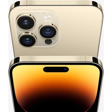 14 pro 256gb (gold)