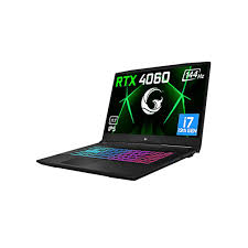 GG Slayer3 7-4060v2 C2 i7-13700H 32GB 1TB 15.6" DOS + ÇANTA