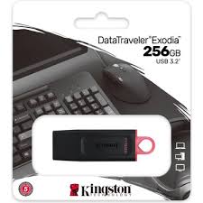 Kingston 256GB USB3.2 GEN1 Data Traveler DTX/256GB