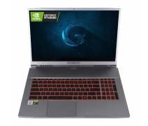 Game Garaj TracerXL 7TN-04 i7-10750H 32GB 1TB m.2 17.3 DOS