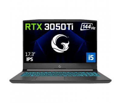GG SLAYER 5XL-3050Tİ C1 İ5-11400H 1X8GB 256GB 17.3 DOS