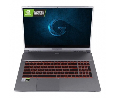 Game Garaj TracerXL 7TN-04 i7-10750H 32GB 1TB m.2 17.3 DOS